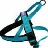 Hem & Boo Reflective Padded Harness Aqua -Dog Featured Sales 0000144 reflective padded harness 550