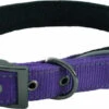 Hem & Boo Reflective Padded Collar Purple