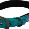 Hem & Boo Reflective Padded Collar Aqua -Dog Featured Sales 0000260 reflective padded dog collar 550