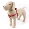 Great&Small Glow Reflective Bone Harness Red