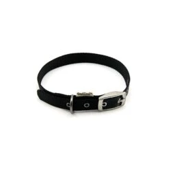 Great&Small Classic Buckle Collar Black