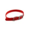 Great&Small Classic Buckle Collar Red