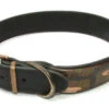 Vital Pet Products Leather Collar Combat 2 Vital Pet Products Leather Collar Combat -Dog Featured Sales 17340