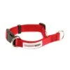Great&Small Doodley Dog Red Collar Medium -Dog Featured Sales 210390