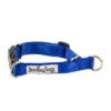 Great&Small Doodley Dogs Blue Plain Nylon Collar -Dog Featured Sales 210391
