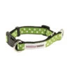 Great&Small Doodley Dogs Green Ribbon Collar -Dog Featured Sales 210398