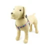 Great&Small Penrose Rose Harness -Dog Featured Sales 211426