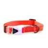 Great&Small Flashing Buckle With Reflective Collar