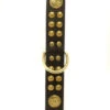Rosewood Leather Bull Terrier Collar Deluxe Dome Studded Black 22 X 1 1/4" -Dog Featured Sales 29068
