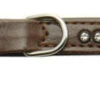 Nobby Double Back Swarovski Crystal Collar Brown -Dog Featured Sales 40239