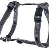 Rogz Armed Response Nylon Harness Silver Gecko 25mm -Dog Featured Sales 46732