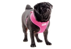 Ancol Viva Comfort Mesh Dog Harness Pink -Dog Featured Sales 48945