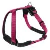 Hunter Neoprene Nylon Harness Raspberry/black -Dog Featured Sales 49850