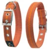 Oscar & Hooch Dog Collar Clementine Orange 2 Oscar & Hooch Dog Collar Clementine Orange -Dog Featured Sales 50239