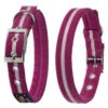Oscar & Hooch Dog Collar Hot Pink -Dog Featured Sales 50241