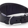 Ancol Heritage Leather Padded Greyhound/Whippet Collar Black -Dog Featured Sales 55249