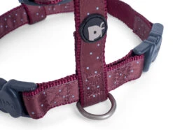 Petface Oxblood Ditsy Spot Dog Harness -Dog Featured Sales 5b97e012df1c92.43467079