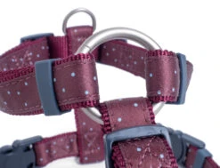 Petface Oxblood Ditsy Spot Dog Harness -Dog Featured Sales 5b97e015d1e0e3.89624462
