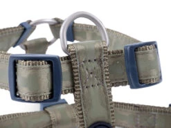 Petface Country Green Tonal Bones Dog Harness -Dog Featured Sales 5b97ea63426b08.82857188