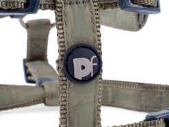 Petface Country Green Tonal Bones Dog Harness -Dog Featured Sales 5b97ea64f27607.28441087