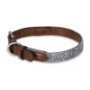 Petface Herringbone Leather Collar -Dog Featured Sales 5d4940030e1b04.49804263