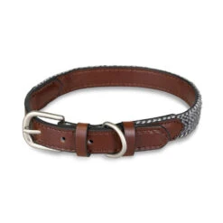 Petface Herringbone Leather Collar -Dog Featured Sales 5d497b8a323a76.52999700