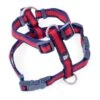 Petface Scarlet Stripe Dog Harness -Dog Featured Sales 5f1aacff397ca3.39777957