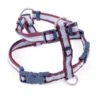 Petface Oxblood Stripe Dog Harness -Dog Featured Sales 5f1aad0211c9a2.10192042