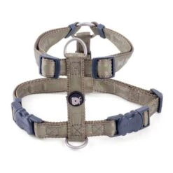 Petface Country Green Tonal Bones Dog Harness -Dog Featured Sales 6203ad04cd1f91.70758415