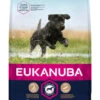 Eukanuba Developing Junior Large Breed Dog Food With Chicken -Dog Featured Sales 63709