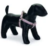 Designed By Lotte Nylon Dog Harness Virante Light Pink -Dog Featured Sales 65177