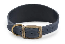 Ancol Timberwolf Greyhound Leather Dog Collar In Blue 34-43cm