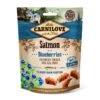 Carnilove Salmon With Blueberries Dog Treats -Dog Featured Sales 7