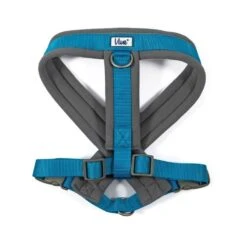 Ancol Viva Padded Dog Harness In Blue -Dog Featured Sales 725847
