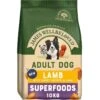 James Wellbeloved Superfoods Adult Dry Dog Food Lamb With Sweet Potato & Chia -Dog Featured Sales 748503