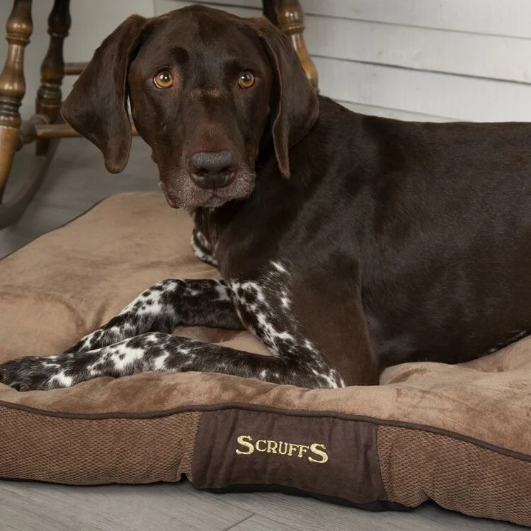 Scruffs® Chester Dog Mattress - Chocolate Brown 4 Scruffs® Chester Dog Mattress - Chocolate Brown - Image 2