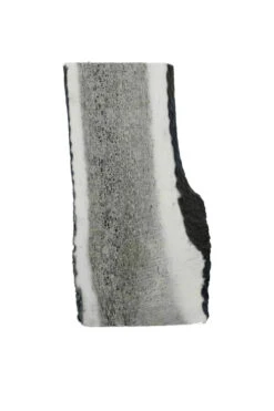 The Wild Antler Co. Half Wild Antler Dog Chew -Dog Featured Sales Copy of Copy of Copy of AF011