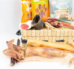 The Pet Express Natural Dog Treat Box Hamper -Dog Featured Sales DSC0652