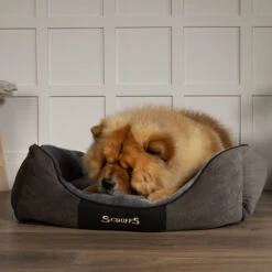 Scruffs® Chester Box Dog Bed - Graphite Grey -Dog Featured Sales GraphiteChesterBoxBedLS2