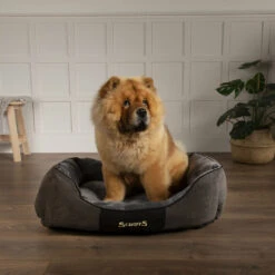 Scruffs® Chester Box Dog Bed - Graphite Grey -Dog Featured Sales GraphiteChesterBoxBedLS3