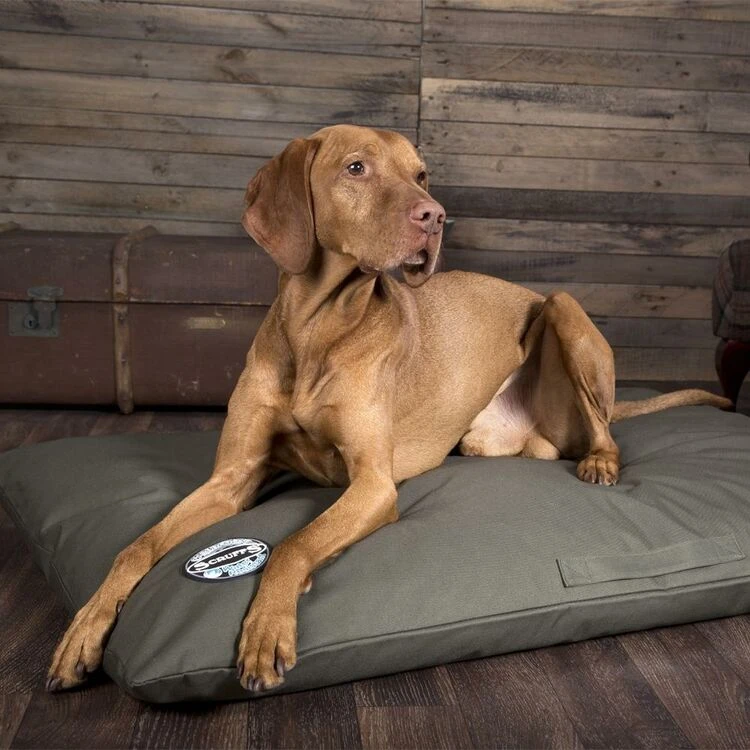 Scruffs® Expedition Orthopaedic Pillow Bed - Olive Green 4 Scruffs® Expedition Orthopaedic Pillow Bed - Olive Green - Image 2