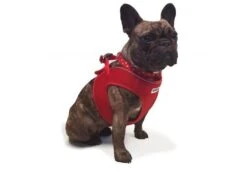 Ancol Viva Step-in Mesh Dog Harness Red -Dog Featured Sales ancol 3