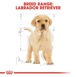 ROYAL CANIN® Labrador Retriever Puppy Dry Food -Dog Featured Sales ay8yqjbqe5f2bjvsysxf