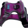 Hem & Boo Sports Harness Purple -Dog Featured Sales bf2zm55h