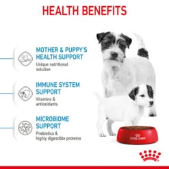 ROYAL CANIN® Mini Starter Mother & Babydog Adult And Puppy Dry Food -Dog Featured Sales boz2m5u7xrl0em0vstog