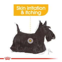 ROYAL CANIN® Mini Dermacomfort Adult Dry Dog Food -Dog Featured Sales clou3d2naejl8zkqol4m