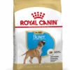ROYAL CANIN® Boxer Puppy Dry Food -Dog Featured Sales cmj0iblvs86007dhwhqv