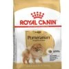 ROYAL CANIN® Pomeranian Adult Dry Dog Food -Dog Featured Sales dzqkkukuazltslcdgnrx