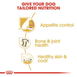 ROYAL CANIN® Labrador Retriever Sterilised Adult Dry Dog Food -Dog Featured Sales emjda9jffkh7y58j62lb