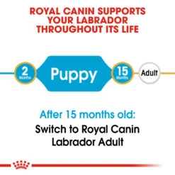 ROYAL CANIN® Labrador Retriever Puppy Dry Food -Dog Featured Sales eprmoho9yddxzy9z7e9p